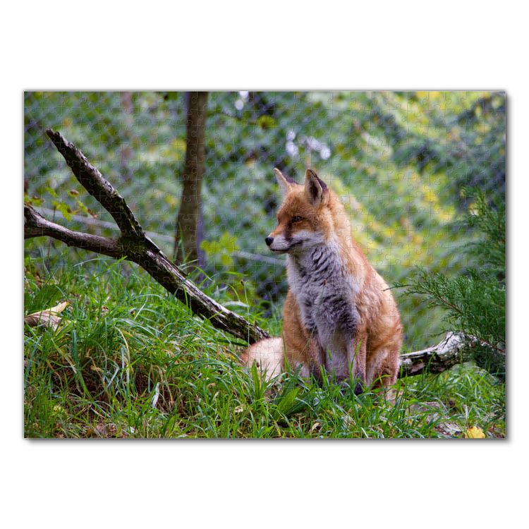 Produktbild: Lais Puzzle Fuchs 500 Teile