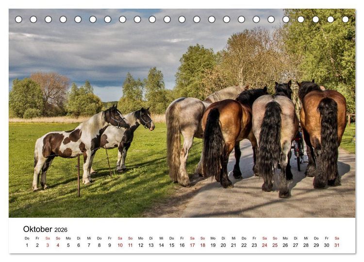 Produktbild: Ein Tag auf der Insel Hiddensee (Tischkalender 2026 DIN A5 quer), CALVENDO Monatskalender