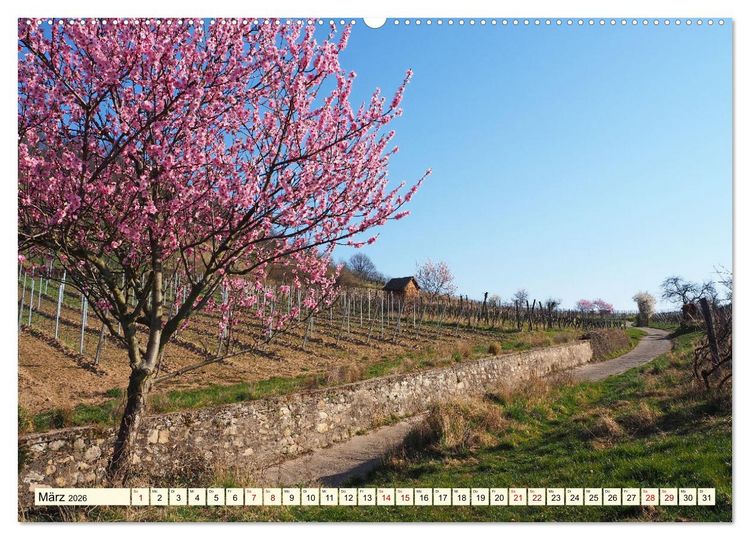 Produktbild: Bensheim a. d. Bergstra&szlig;e - Ein Stadtspaziergang (hochwertiger Premium Wandkalender 2026 DIN A2 quer), Kunstdruck in Hochglanz