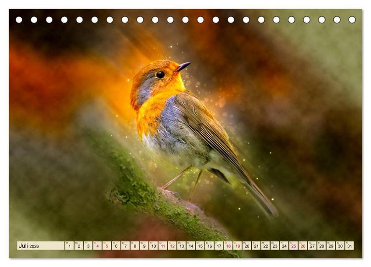 Produktbild: Bei uns im Garten - Rotkehlchen (Tischkalender 2026 DIN A5 quer), CALVENDO Monatskalender