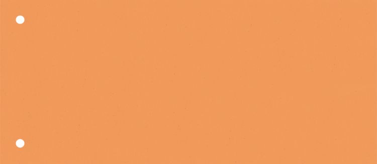 Produktbild: Trennstreifen | 105&times;240 mm, orange, 100 St&uuml;ck
