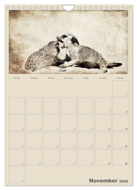 Produktbild: Lustige Erdm&auml;nnchen (Wandkalender 2026 DIN A4 hoch), CALVENDO Monatskalender