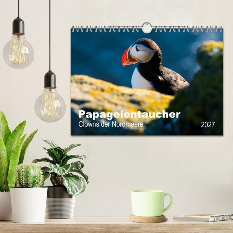 Produktbild: PAPAGEIENTAUCHER - Clowns der Nordmeere (Wandkalender 2027 DIN A4 quer), CALVENDO Monatskalender