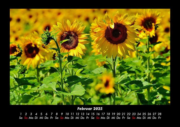 Produktbild: Landschaftskalender 2025 Fotokalender DIN A3