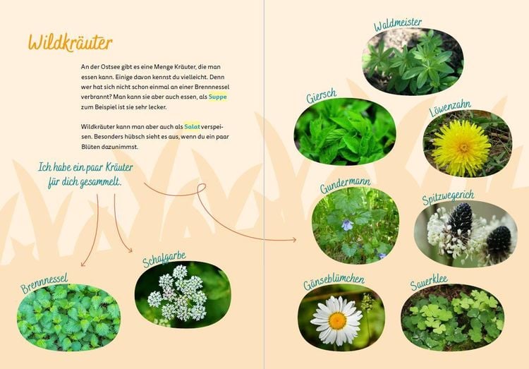 Produktbild: Ostsee for kids