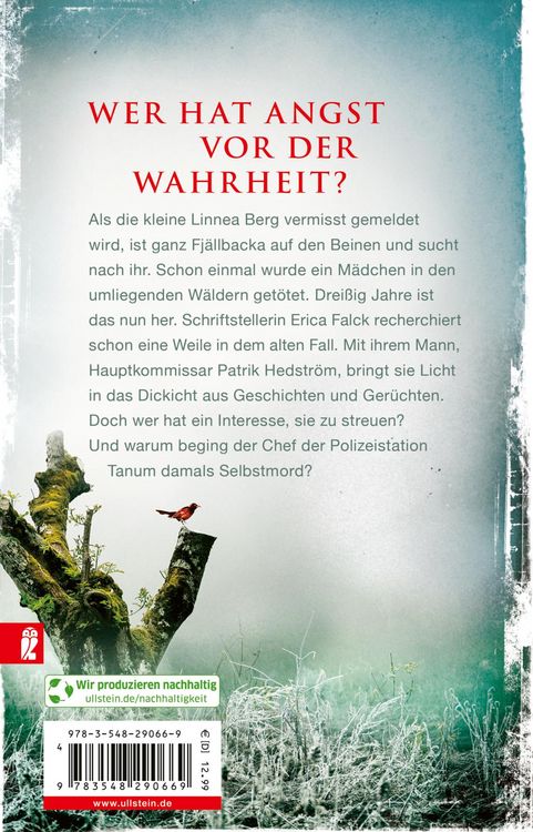 Produktbild: Die Eishexe