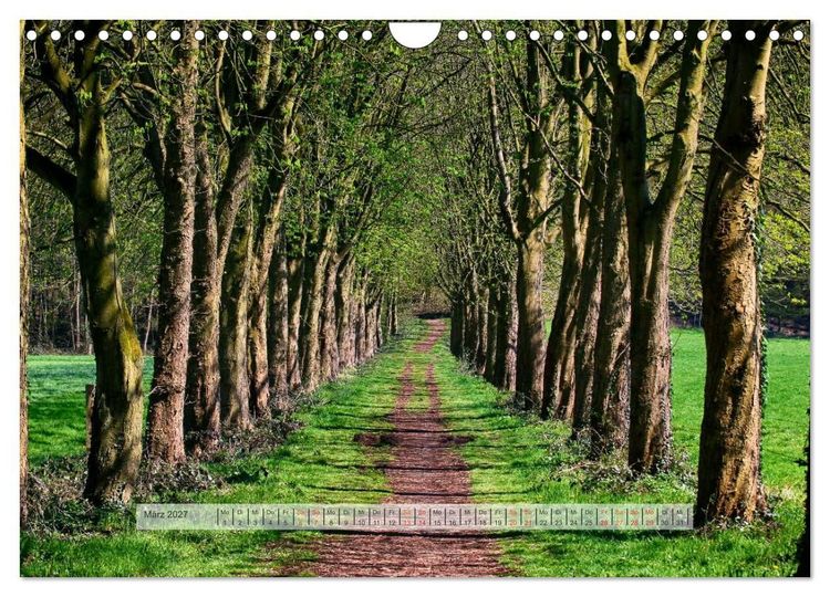 Produktbild: Wald im Bergischen Land 2027 (Wandkalender 2027 DIN A4 quer), CALVENDO Monatskalender