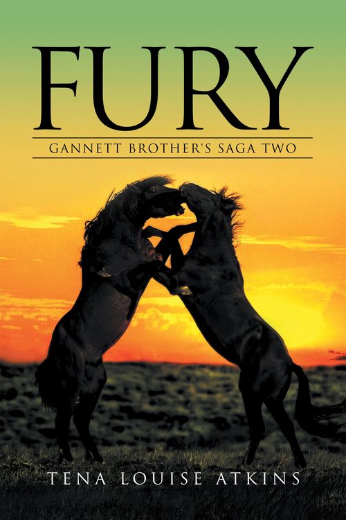 Produktbild: Fury
