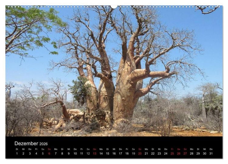 Produktbild: Abenteuer Madagaskar (hochwertiger Premium Wandkalender 2026 DIN A2 quer), Kunstdruck in Hochglanz