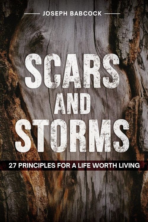 Produktbild: Scars and Storms
