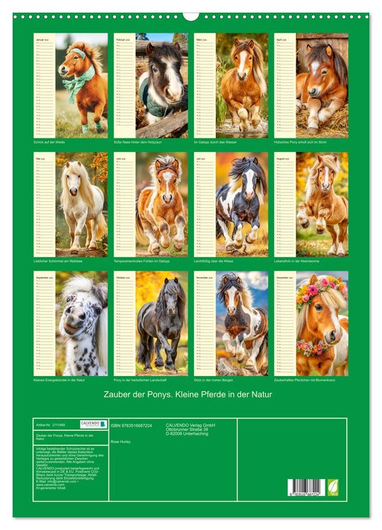 Produktbild: Zauber der Ponys. Kleine Pferde in der Natur (Wandkalender 2026 DIN A2 hoch), CALVENDO Monatskalender