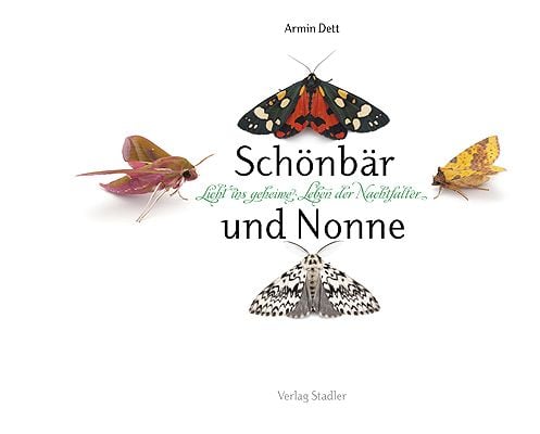 Produktbild: Sch&ouml;nb&auml;r und Nonne
