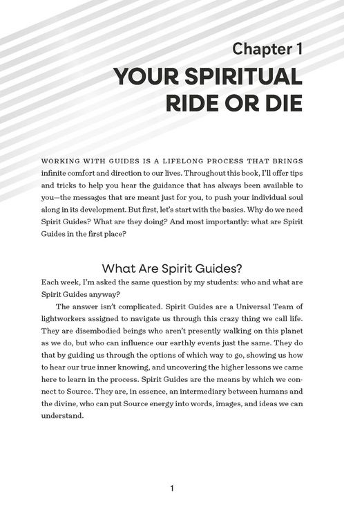 Produktbild: The Guide(s) Book