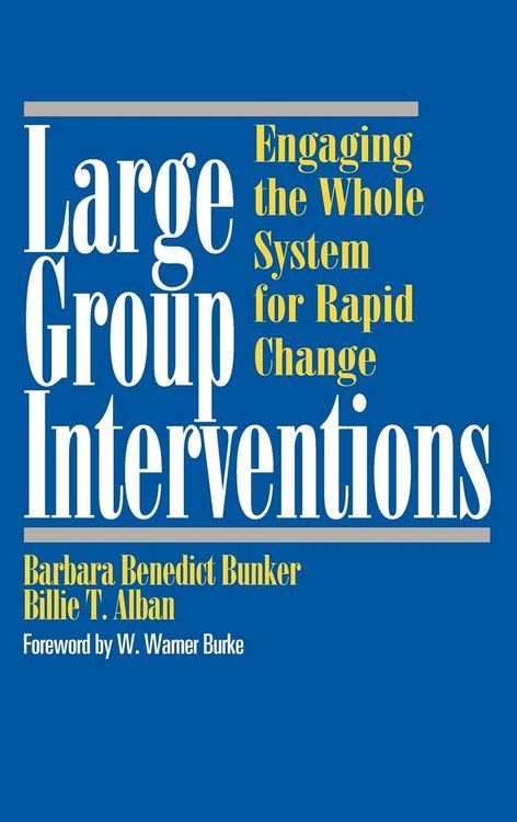 Produktbild: Large Group Interventions
