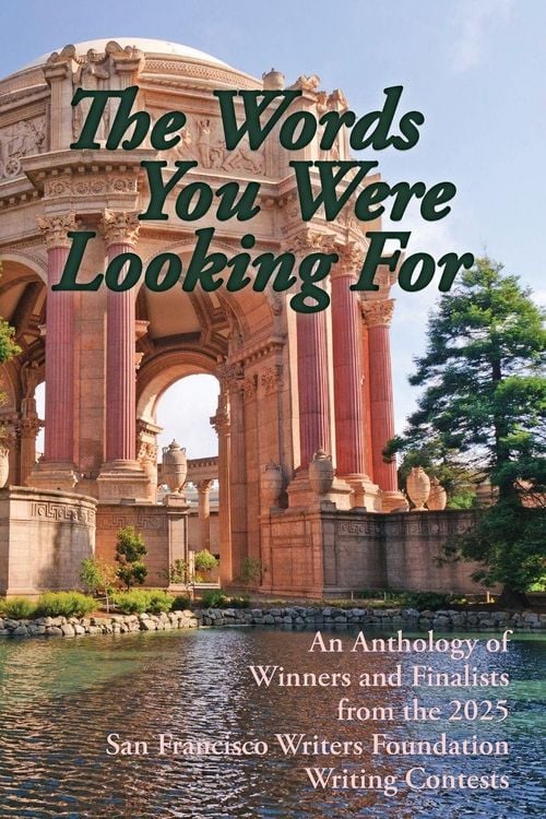 Produktbild: The Words You Were Looking For