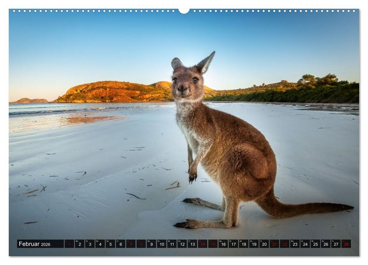 Produktbild: Wildtierkalender (hochwertiger Premium Wandkalender 2026 DIN A2 quer), Kunstdruck in Hochglanz