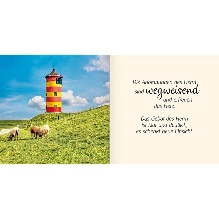 Produktbild: Ich schenke dir Psalm 19