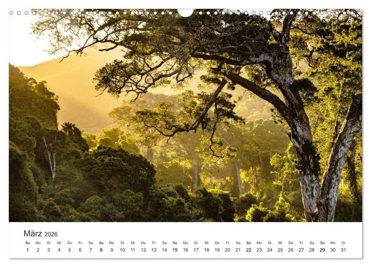 Produktbild: Bezauberndes S&uuml;dafrika (Wandkalender 2026 DIN A3 quer), CALVENDO Monatskalender