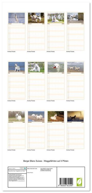 Produktbild: Familienplaner 2026 - Berger Blanc Suisse - Weggef&auml;hrten auf 4 Pfoten mit 5 Spalten (Wandkalender, 21 x 45 cm) CALVENDO