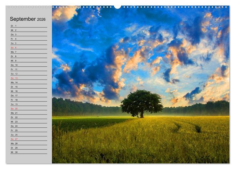 Produktbild: Magische B&auml;ume (hochwertiger Premium Wandkalender 2026 DIN A2 quer), Kunstdruck in Hochglanz