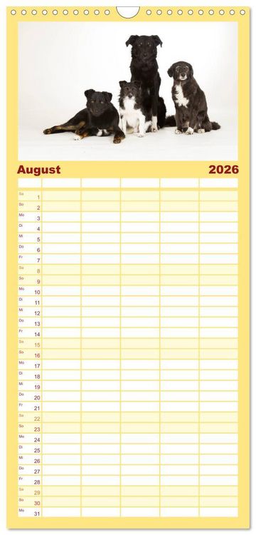 Produktbild: Familienplaner 2026 - Bunte Pfoten mit 5 Spalten (Wandkalender, 21 x 45 cm) CALVENDO