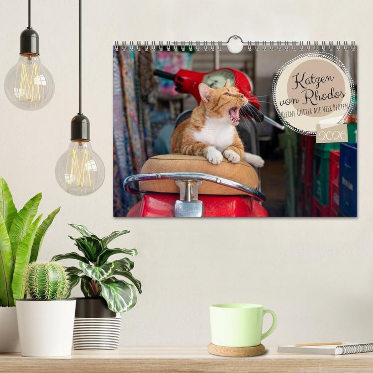 Produktbild: Katzen von Rhodos - Kleine G&ouml;tter auf vier Pfoten (Wandkalender 2026 DIN A4 quer), CALVENDO Monatskalender