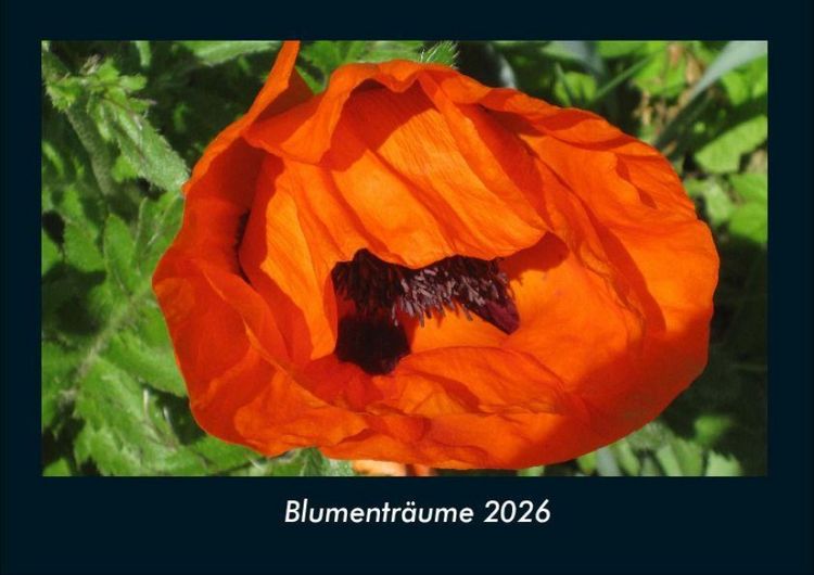 Produktbild: Blumentr&auml;ume 2026 Fotokalender DIN A4