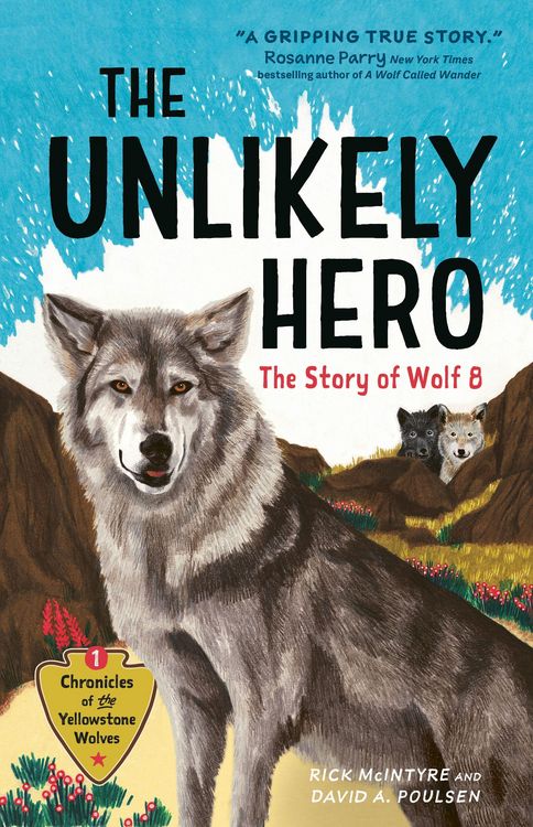 Produktbild: The Unlikely Hero