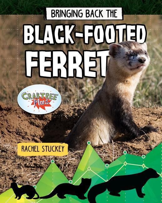 Produktbild: Bringing Back the Black-Footed Ferret