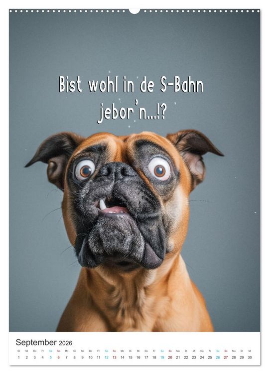 Produktbild: Lustige Tiere (Wandkalender 2026 DIN A2 hoch), CALVENDO Monatskalender