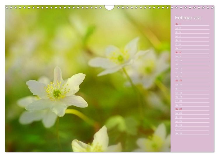 Produktbild: Blumenfreude (Wandkalender 2026 DIN A3 quer), CALVENDO Monatskalender