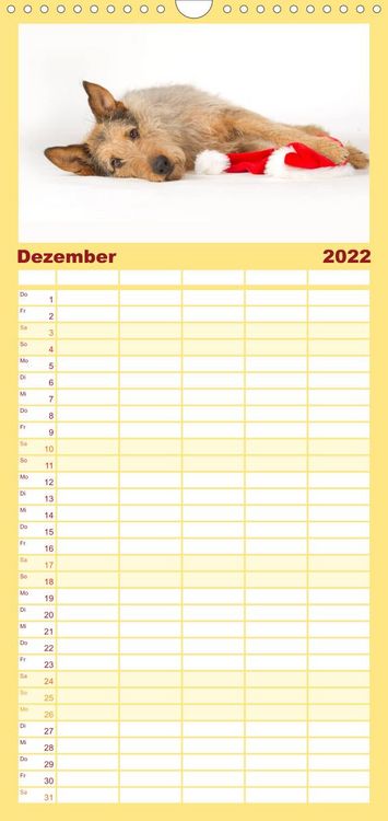 Produktbild: Familienplaner Bunte Pfoten (Wandkalender 2022 , 21 cm x 45 cm, hoch)