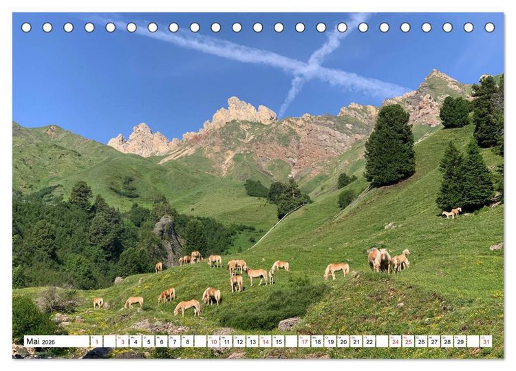 Produktbild: Seiser Alm Sommer (Tischkalender 2026 DIN A5 quer), CALVENDO Monatskalender
