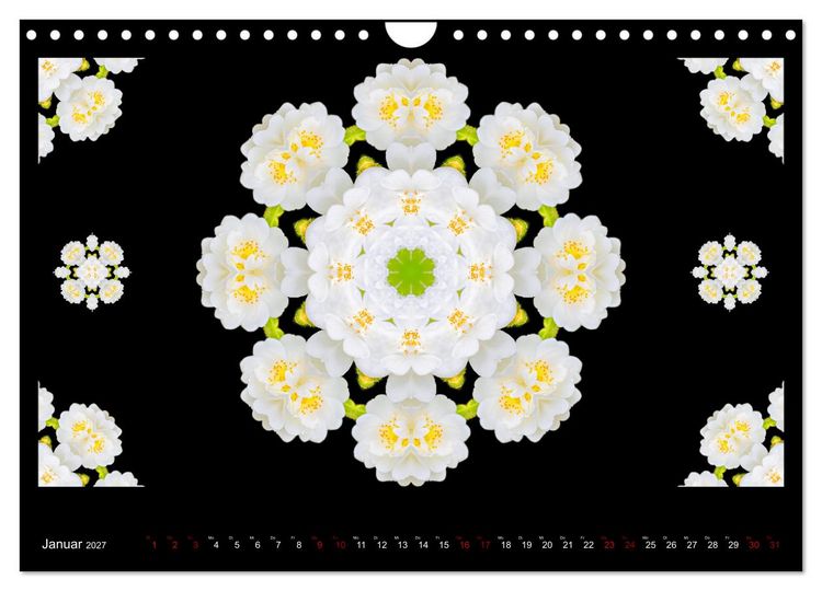 Produktbild: ROSEN MANDALAS (Wandkalender 2027 DIN A4 quer), CALVENDO Monatskalender