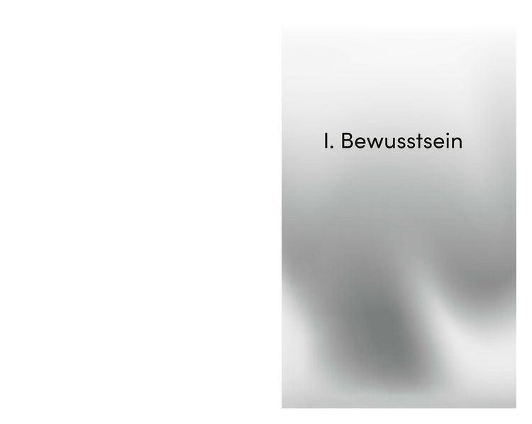 Produktbild: Die Seele des Psychotherapeuten