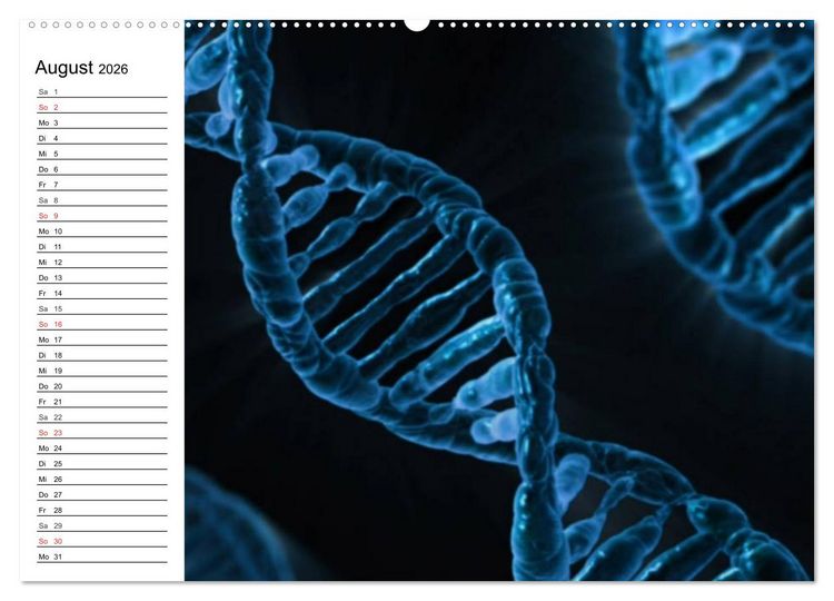 Produktbild: Mikrobiologie. Mikroorganismen, Genetik und Zellen (hochwertiger Premium Wandkalender 2026 DIN A2 quer), Kunstdruck in Hochglanz