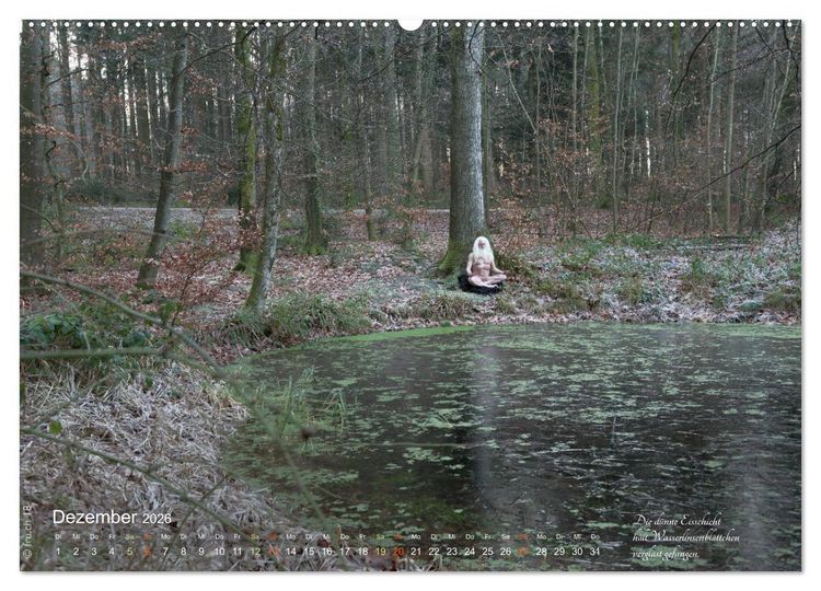 Produktbild: HAIKU AM TEICH (hochwertiger Premium Wandkalender 2026 DIN A2 quer), Kunstdruck in Hochglanz