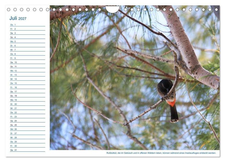 Produktbild: S&uuml;dsee-Insel Mo'orea (Wandkalender 2027 DIN A4 quer), CALVENDO Monatskalender