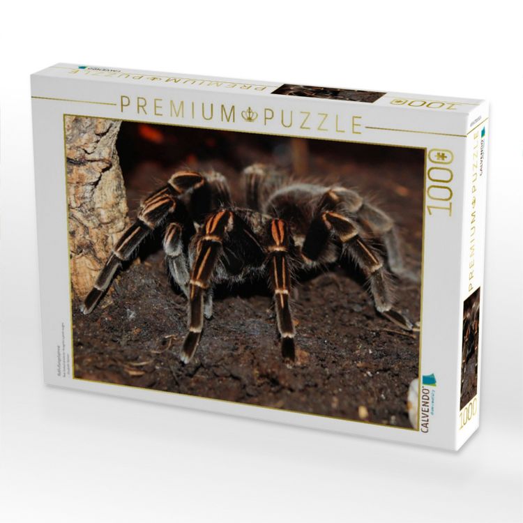Produktbild: CALVENDO Puzzle Rotfu&szlig;vogelspinne | 1000 Teile Lege-Gr&ouml;&szlig;e 64x48cm Foto-Puzzle f&uuml;r gl&uuml;ckliche Stunden