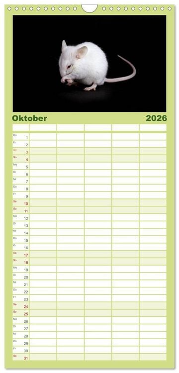 Produktbild: Familienplaner 2026 - S&uuml;&szlig;e M&auml;use und Coole Ratten mit 5 Spalten (Wandkalender, 21 x 45 cm) CALVENDO