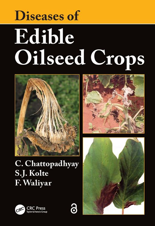 Produktbild: Diseases of Edible Oilseed Crops