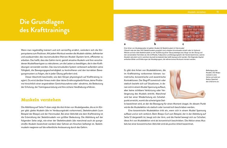 Produktbild: Krafttraining &ndash; Das Handbuch f&uuml;r Einsteiger