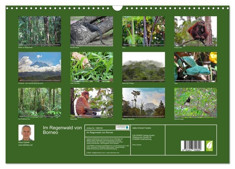 Produktbild: Im Regenwald von Borneo (Wandkalender 2026 DIN A3 quer), CALVENDO Monatskalender