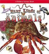 Produktbild: Many Kinds of Animals