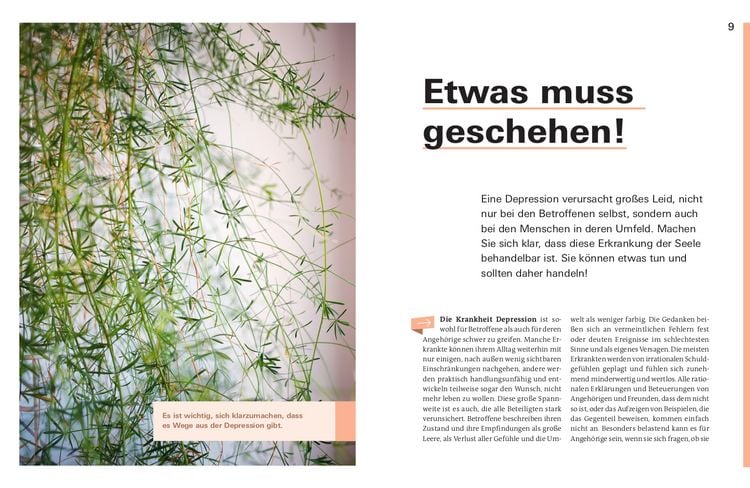 Produktbild: Depression. Das Richtige tun