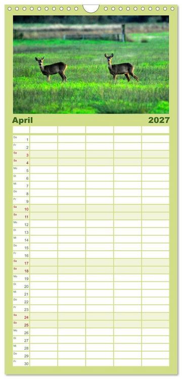 Produktbild: Familienplaner 2027 - Unser Land im Norden mit 5 Spalten (Wandkalender, 21 x 45 cm) CALVENDO