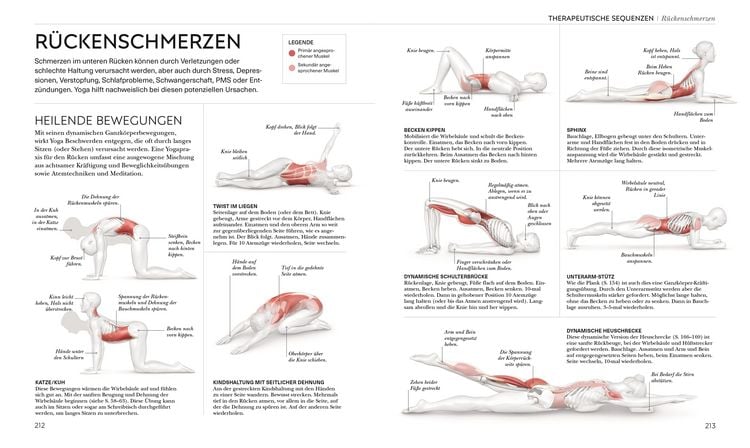 Produktbild: Yoga verstehen - Die Anatomie der Yoga-Haltungen