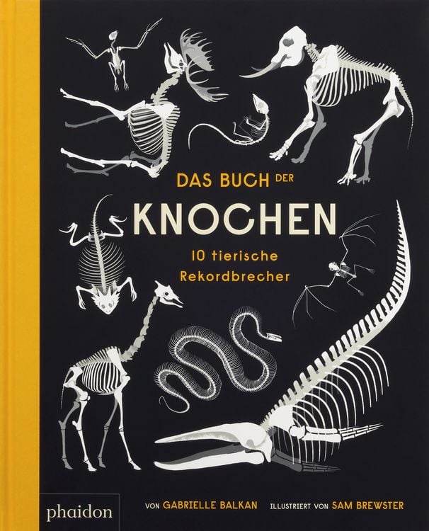 Produktbild: Das Buch der Knochen