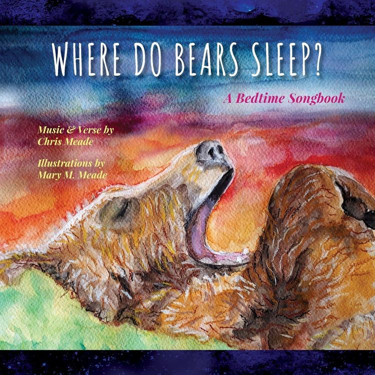 Produktbild: Where Do Bears Sleep?