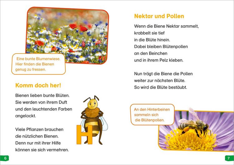 Produktbild: WAS IST WAS Erstes Lesen easy! Band 3. Wie lebt die Honigbiene?
